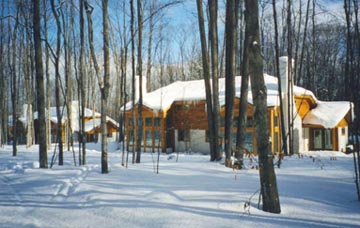 Boyne Mountain ski and golf condo